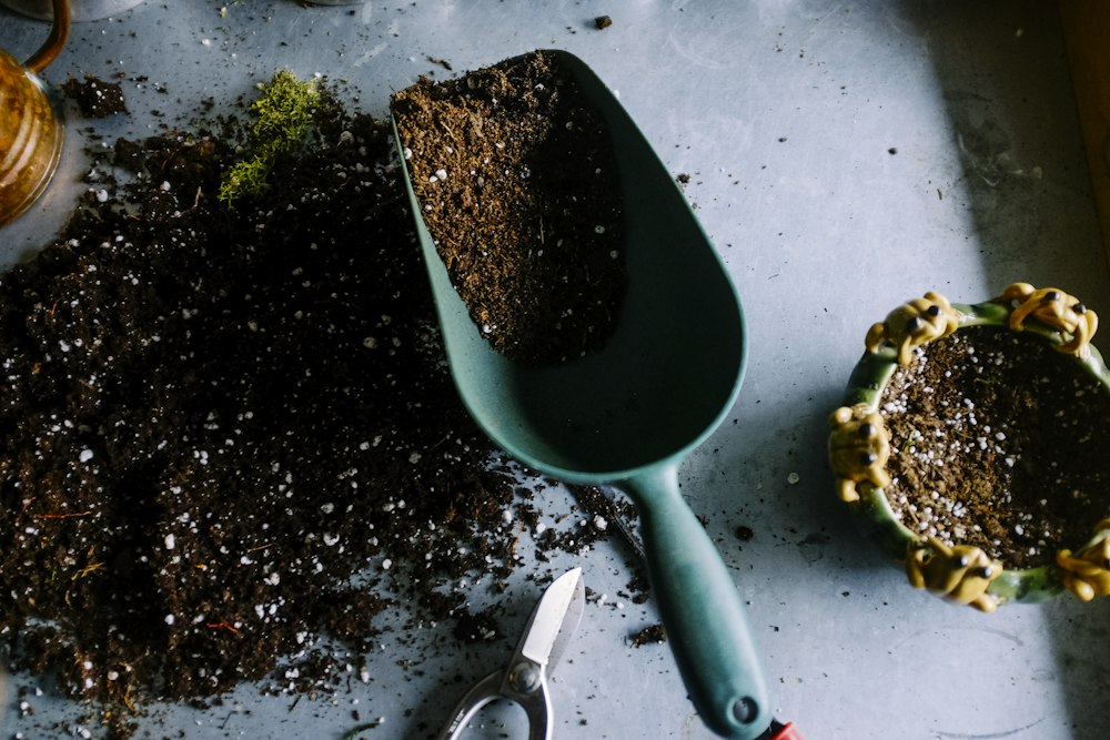 Gardener hands planting seeds